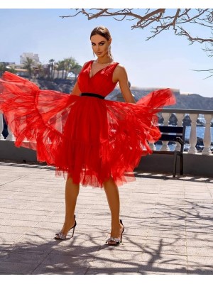 Suknelė PARIS raudona